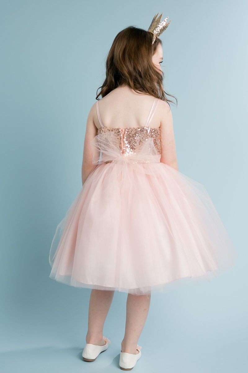 My Girl Dress INC Girl's Beaded Satin and Tulle Flower Girl Dress-Pink-4