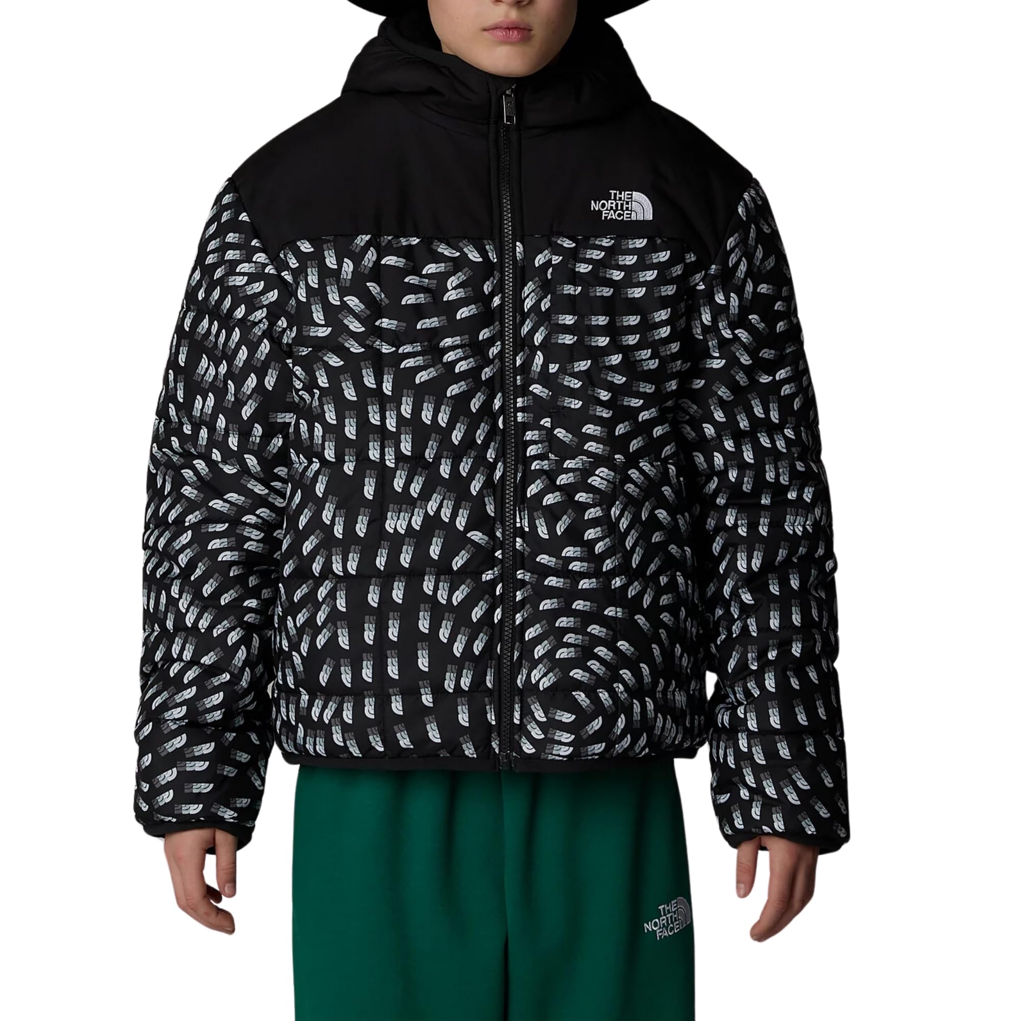 The North Face Boys' Reversible Shasta Full Zip Hooded Jacket